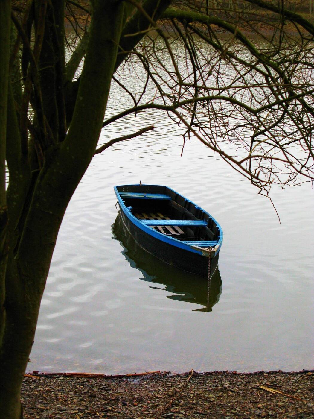 Photographie originale prise à Moulin Papon, La Roche-sur-Yon, le 14 mai 2015 à 16 h 47
